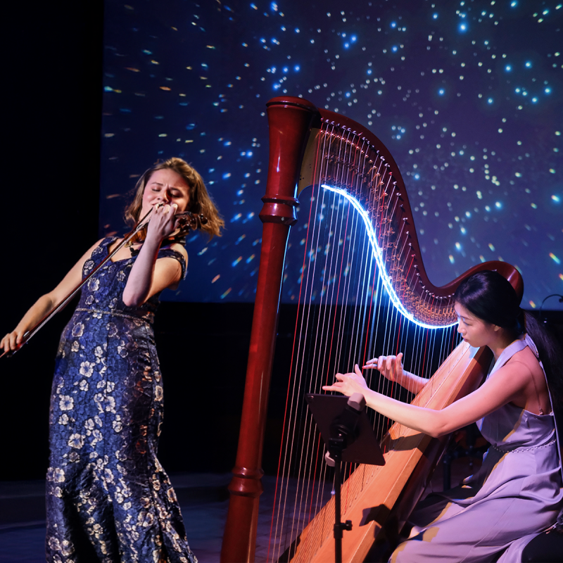 13264 Sound Palette - photo 1 CY25