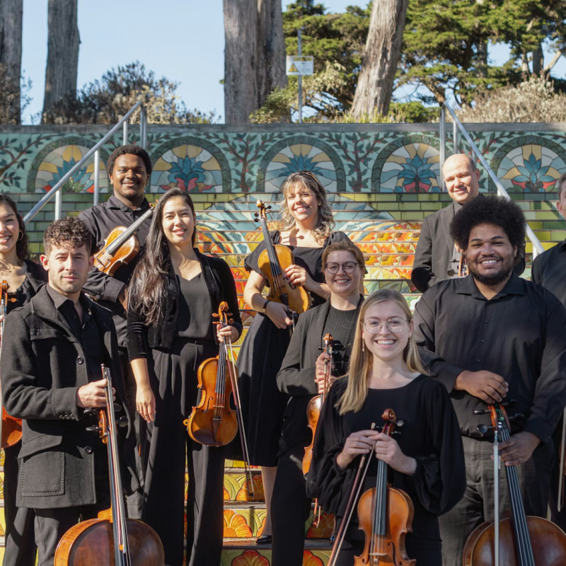 13320 Mosaic Strings - photo 1 CY26 (1)