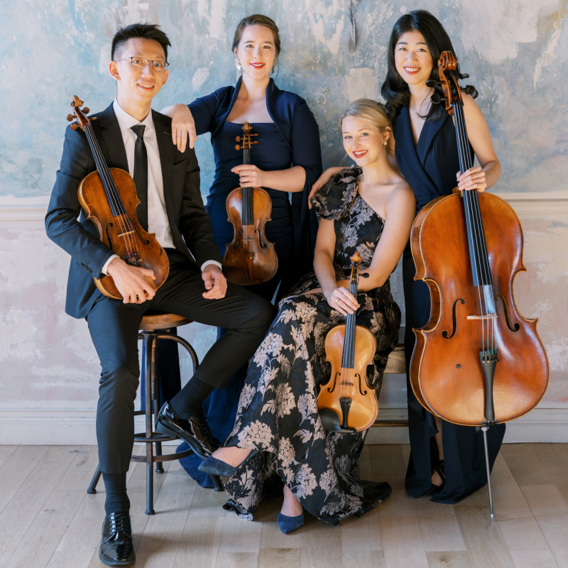 13436 Terra String Quartet - photo 1 CY26 (cropped)