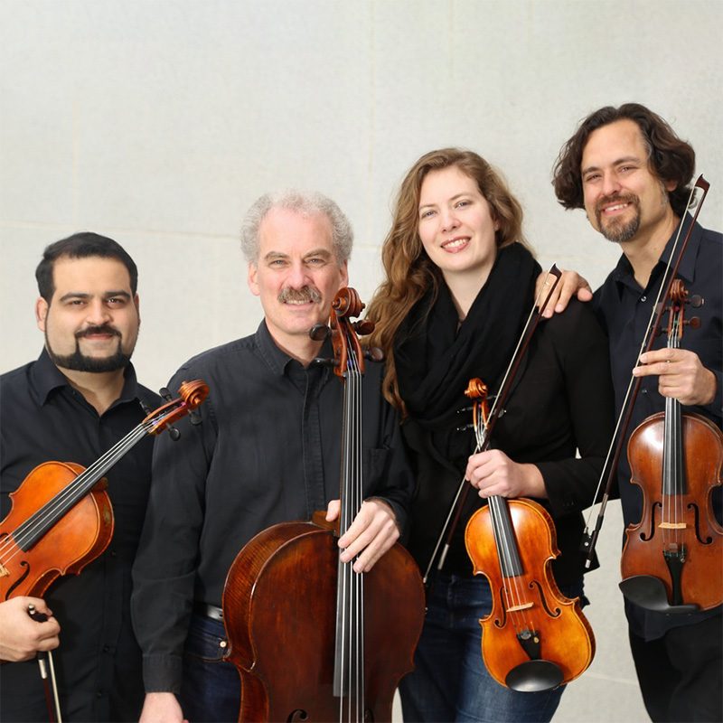 Circadian String QuartetSq
